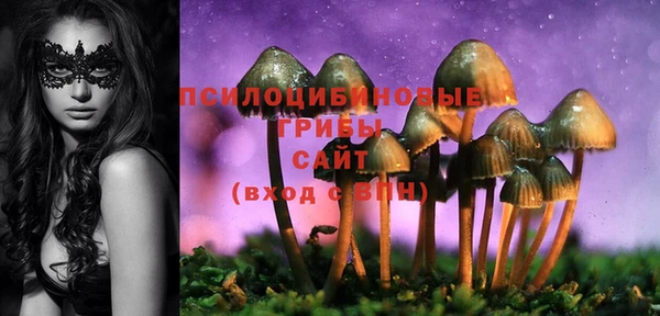 трава Баксан