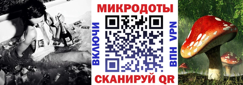 маркетплейс какой сайт  Мураши  Псилоцибиновые грибы MAGIC MUSHROOMS 