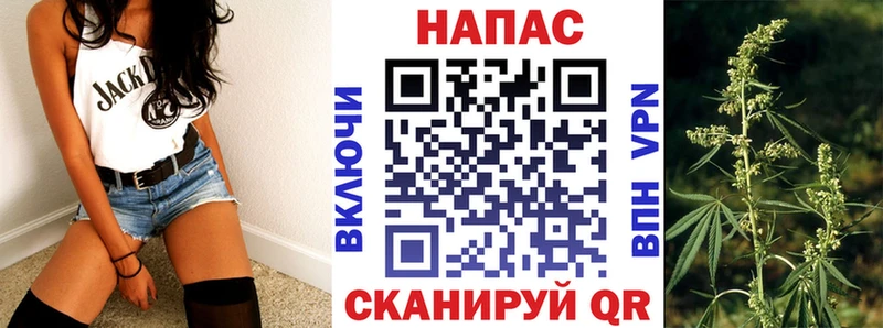 Бошки марихуана THC 21%  закладки  Мураши 